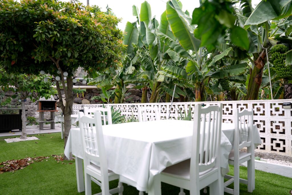 Pranzo sotto gli alberi