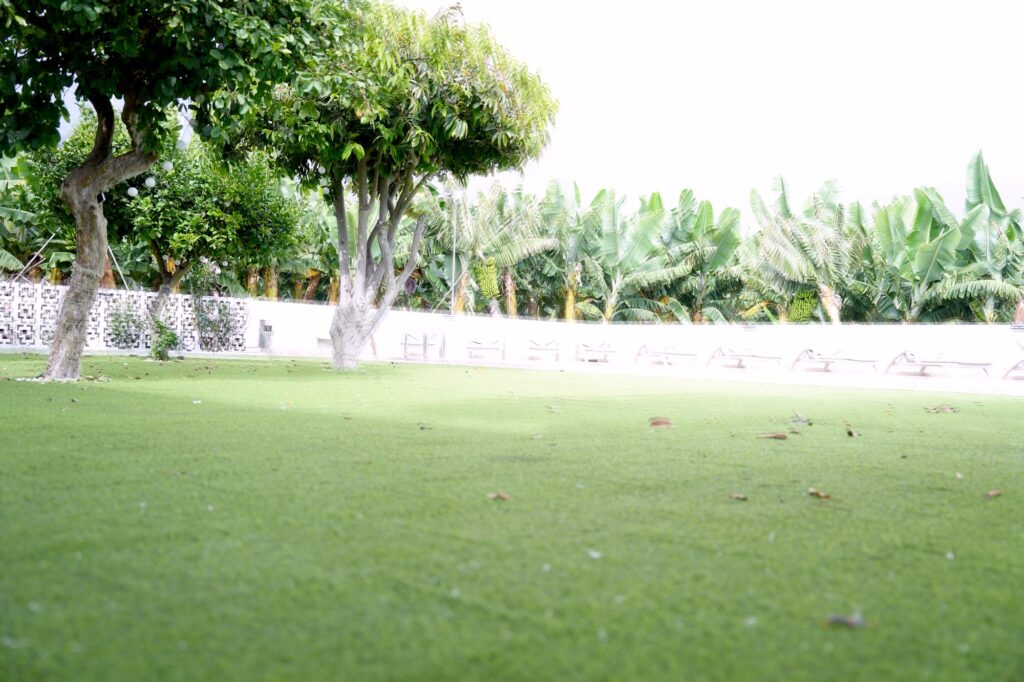 Prato giardino